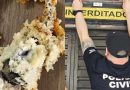 Cliente encontra rato morto dentro de bolo e dona de estabelecimento acaba presa